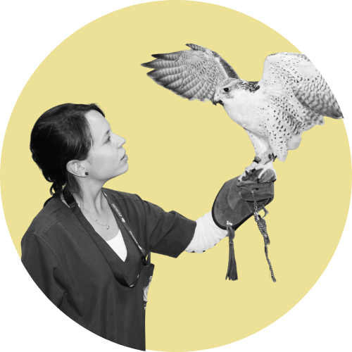 Renáta Tobolová-Wietrow